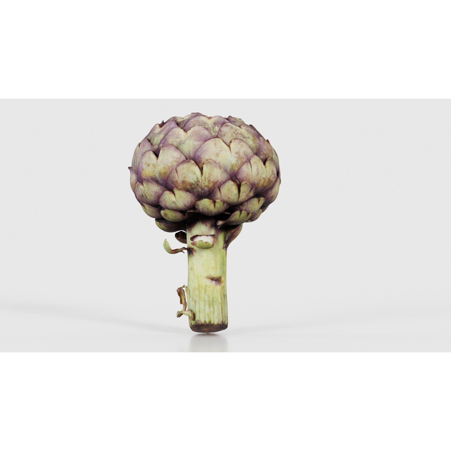 Artichokes - Low-Poly Game-Ready 3D Model - View 25
