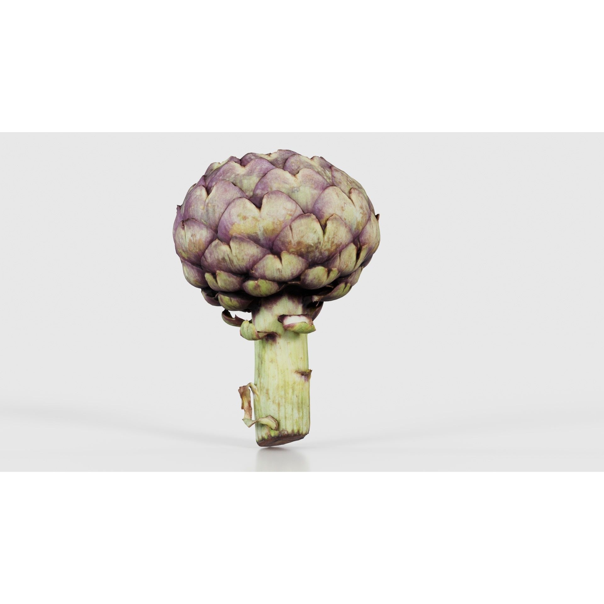 Artichokes - Low-Poly Game-Ready 3D Model - View 26