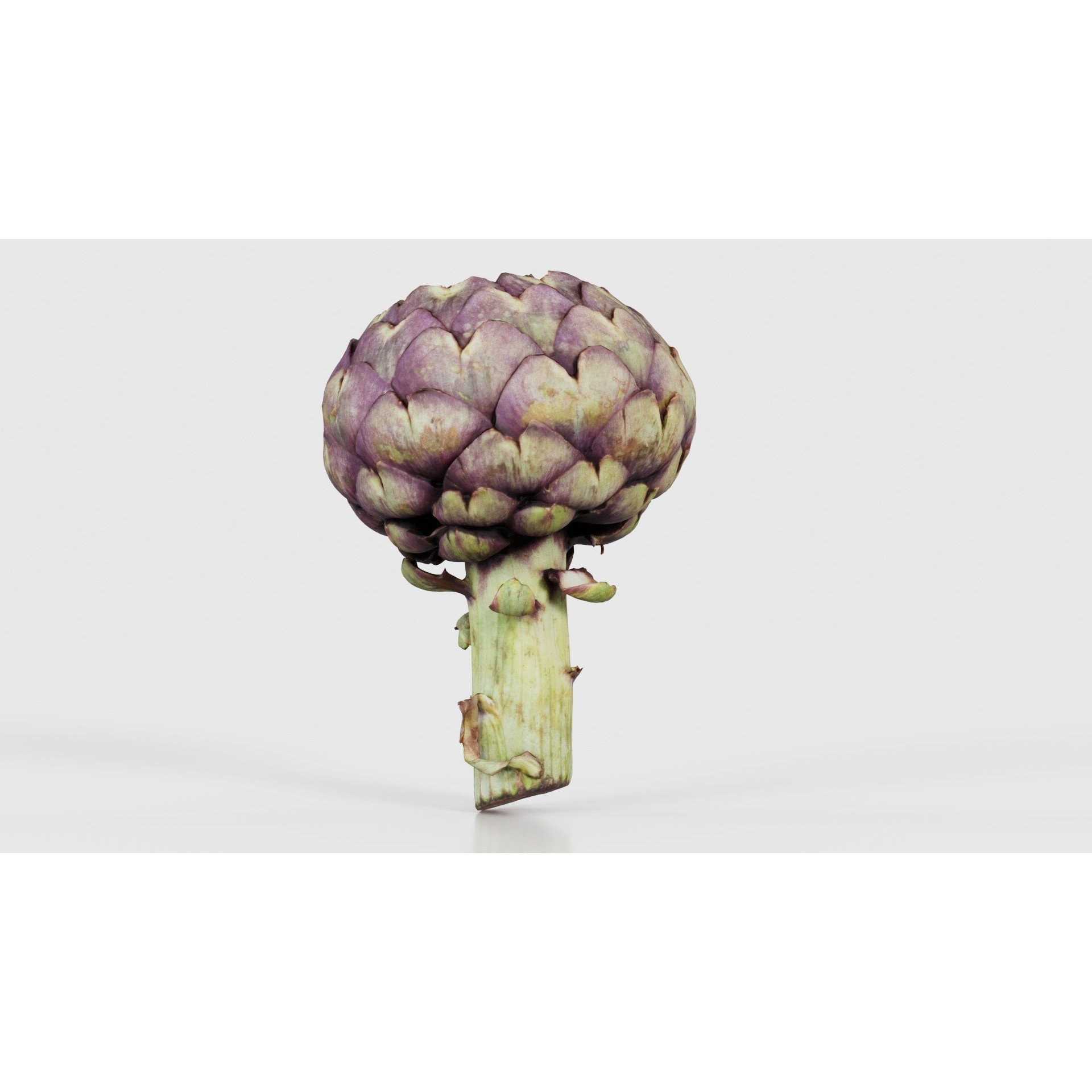 Artichokes - Low-Poly Game-Ready 3D Model - View 27