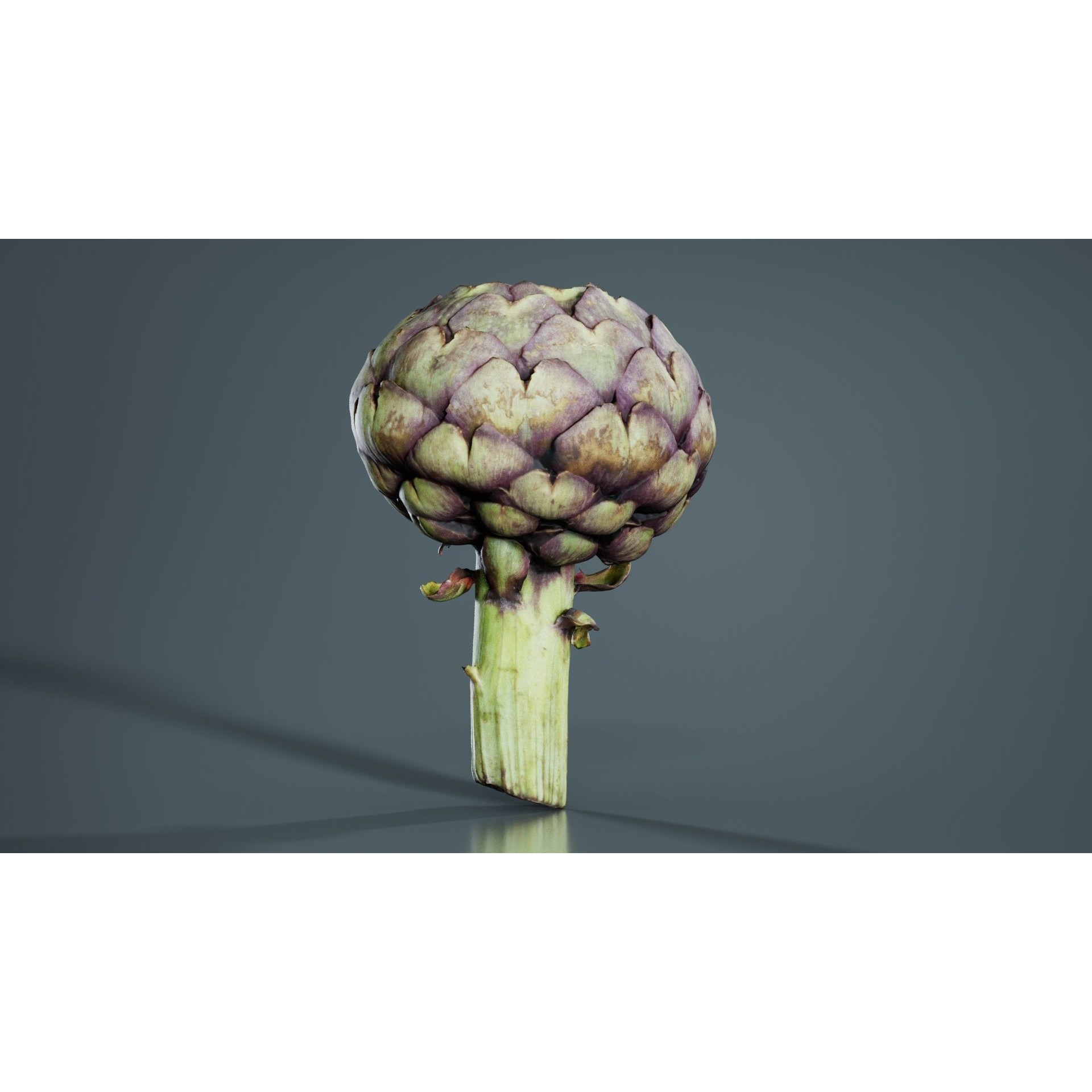 Artichokes - Low-Poly Game-Ready 3D Model - View 5