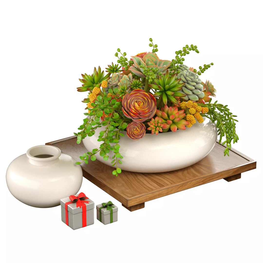 Succulent Arrangement 3D Model – Modern Decorative Set, PBR Textures, OBJ - View 2