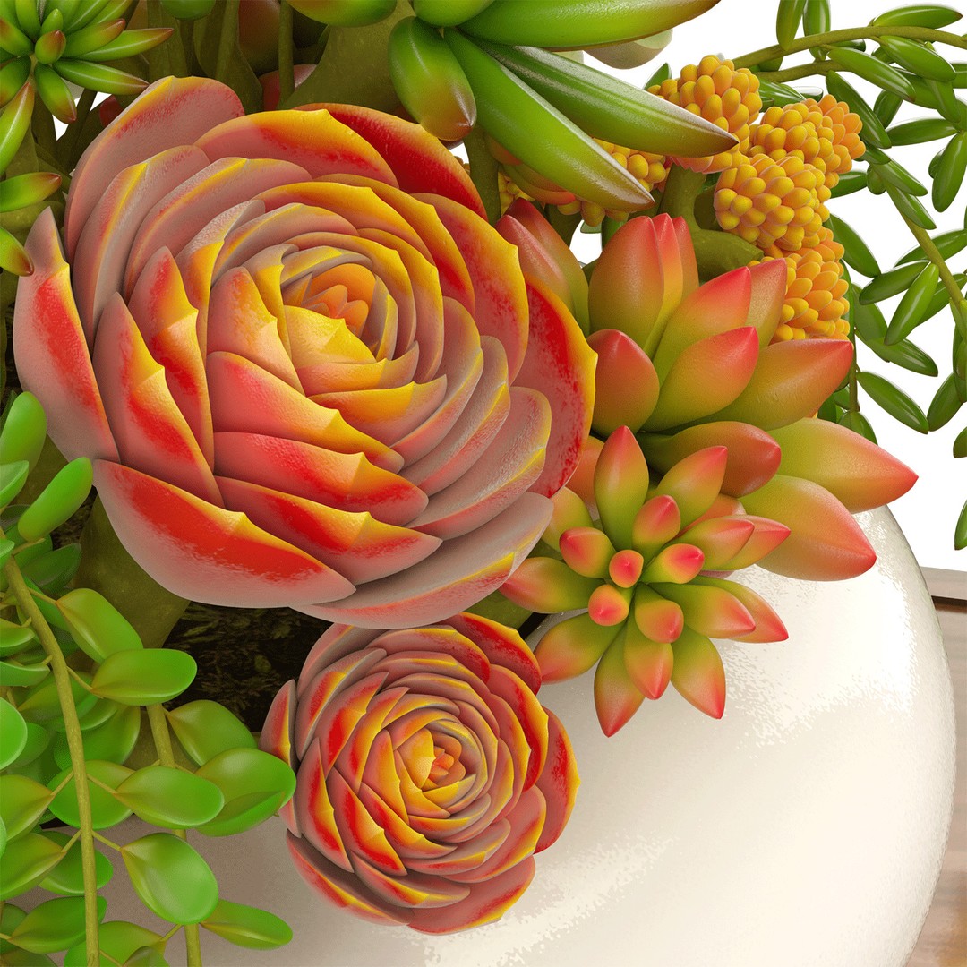 Succulent Arrangement 3D Model – Modern Decorative Set, PBR Textures, OBJ - View 3