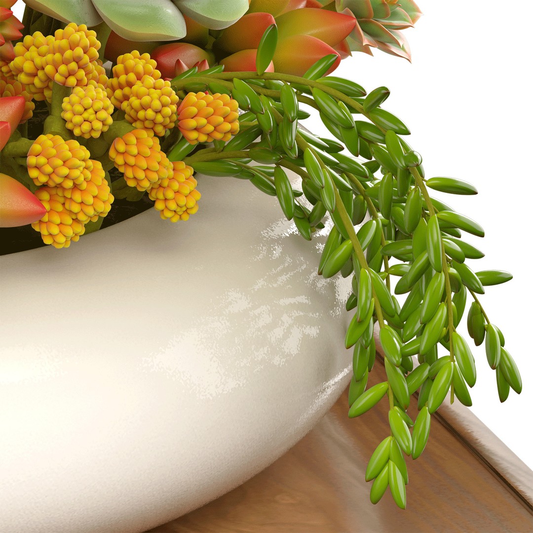 Succulent Arrangement 3D Model – Modern Decorative Set, PBR Textures, OBJ - View 5