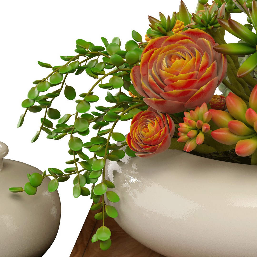 Succulent Arrangement 3D Model – Modern Decorative Set, PBR Textures, OBJ - View 6