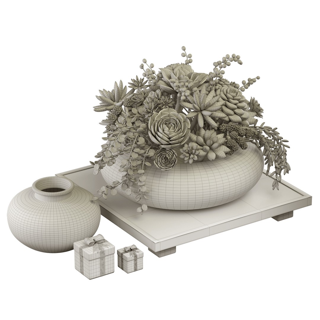 Succulent Arrangement 3D Model – Modern Decorative Set, PBR Textures, OBJ - View 7