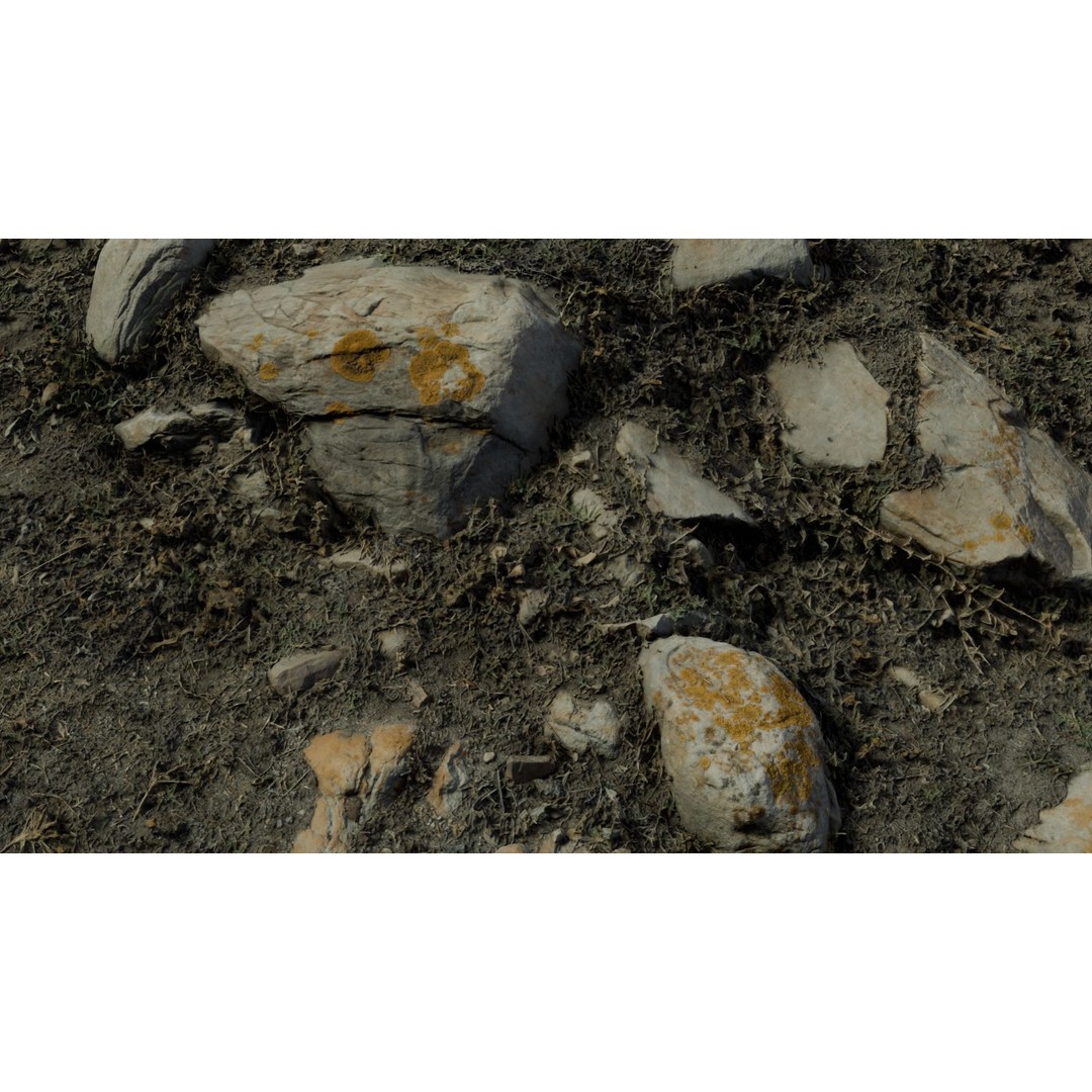 Rock-Laden Ground 3D Model – High-Detail Terrain Asset, OBJ - View 10
