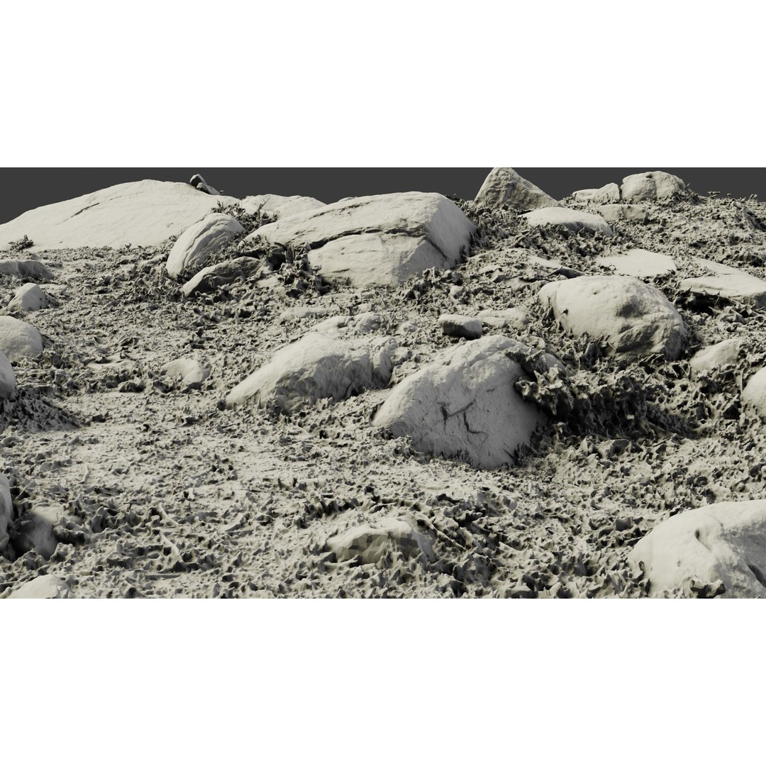 Rock-Laden Ground 3D Model – High-Detail Terrain Asset, OBJ - View 19