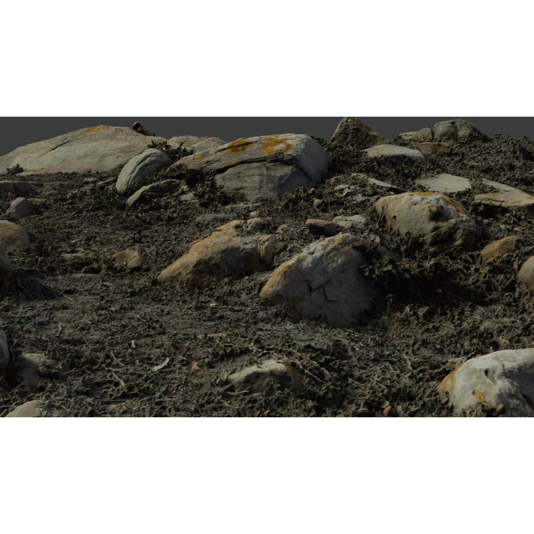 Rock-Laden Ground 3D Model – High-Detail Terrain Asset, OBJ - View 2