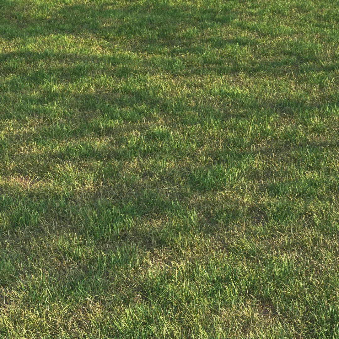 Grass 3D Model – PBR Landscape Asset, FBX, OBJ, Game-Ready - View 2