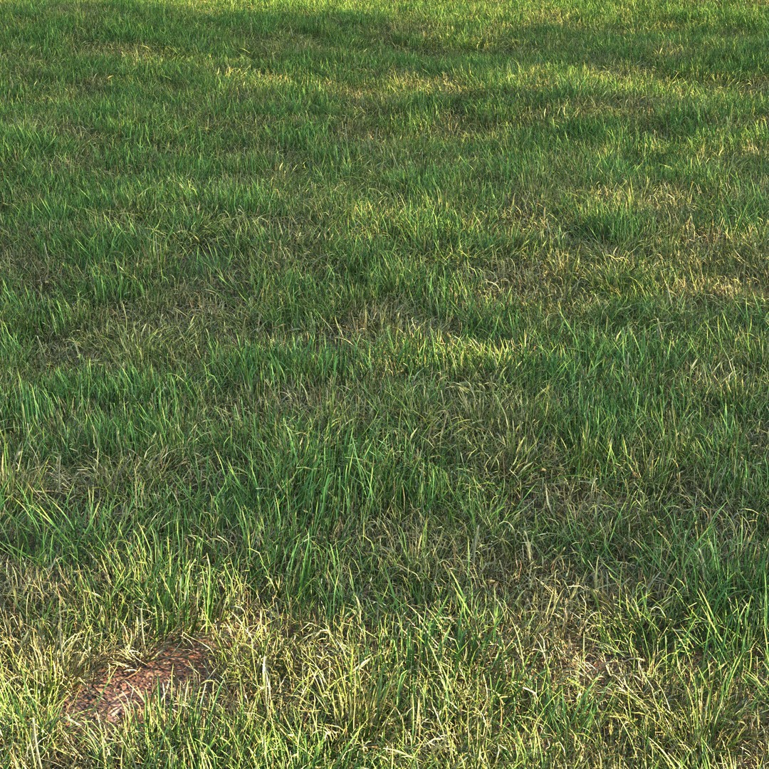 Grass 3D Model – PBR Landscape Asset, FBX, OBJ, Game-Ready - View 3