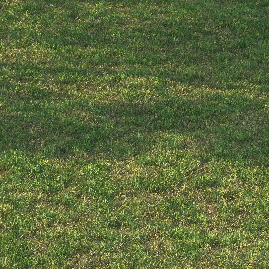 Grass 3D Model – PBR Landscape Asset, FBX, OBJ, Game-Ready - View 4