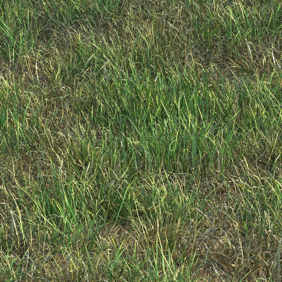 Grass 3D Model – PBR Landscape Asset, FBX, OBJ, Game-Ready - View 5