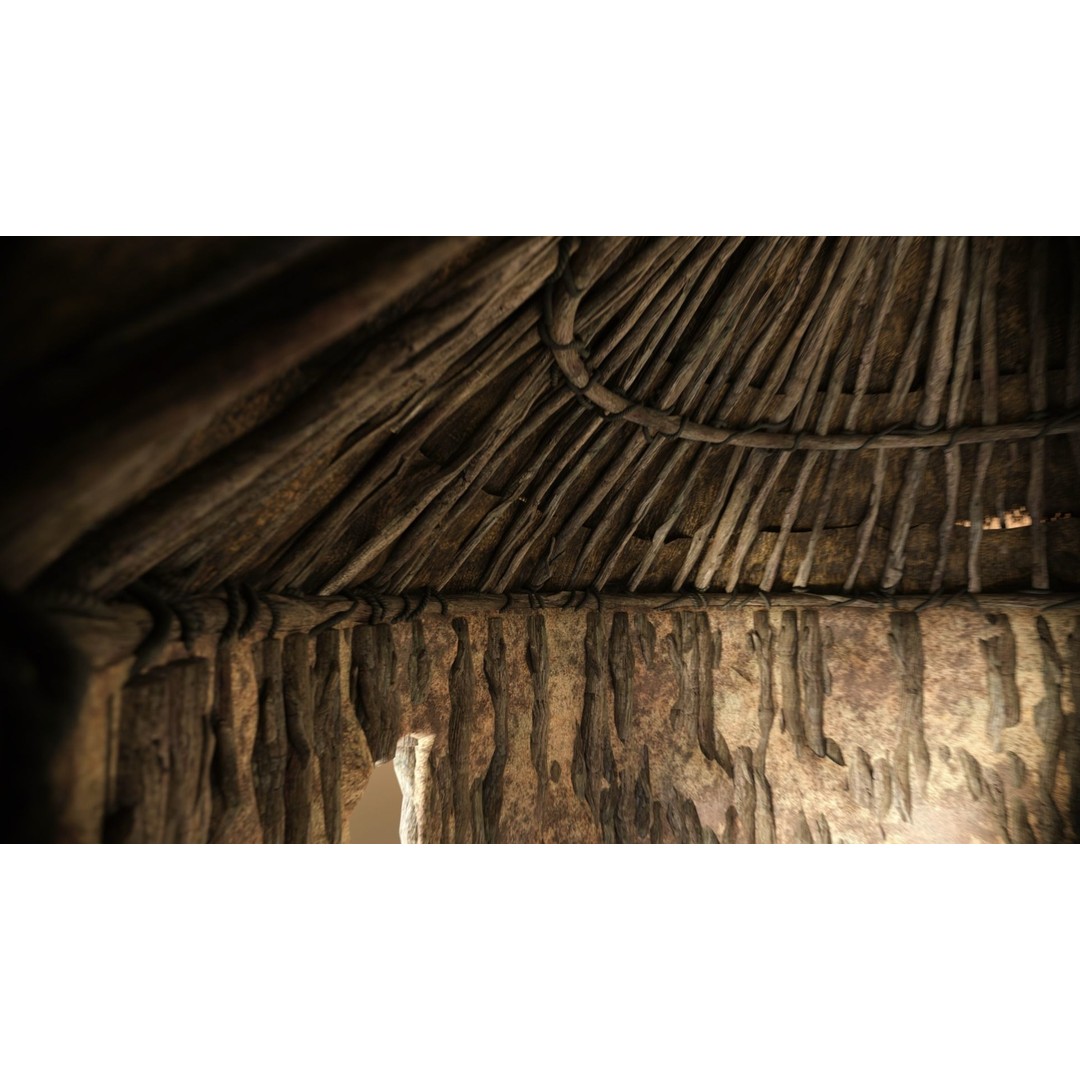 Primitive African Hut 3D Model – Low Poly Game Asset, FBX & OBJ - View 20