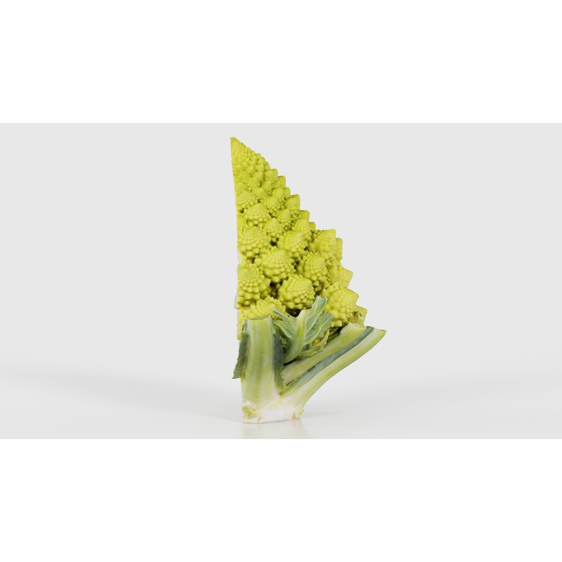 Romanesco Half - Low-Poly Game-Ready 3D Model