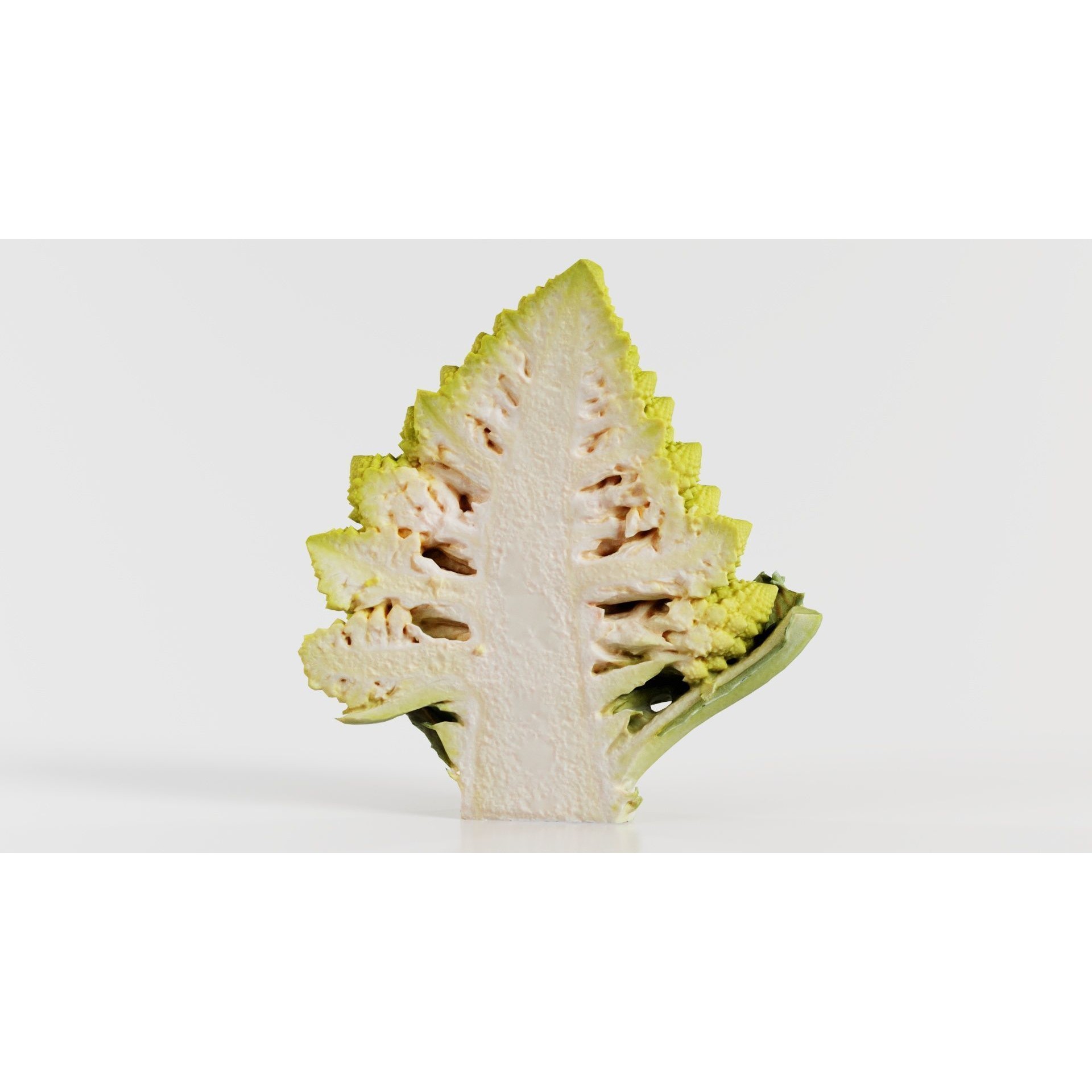 Romanesco Half - Low-Poly Game-Ready 3D Model - View 10