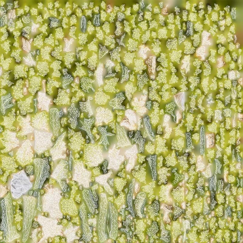 Romanesco Half - Low-Poly Game-Ready 3D Model - View 16