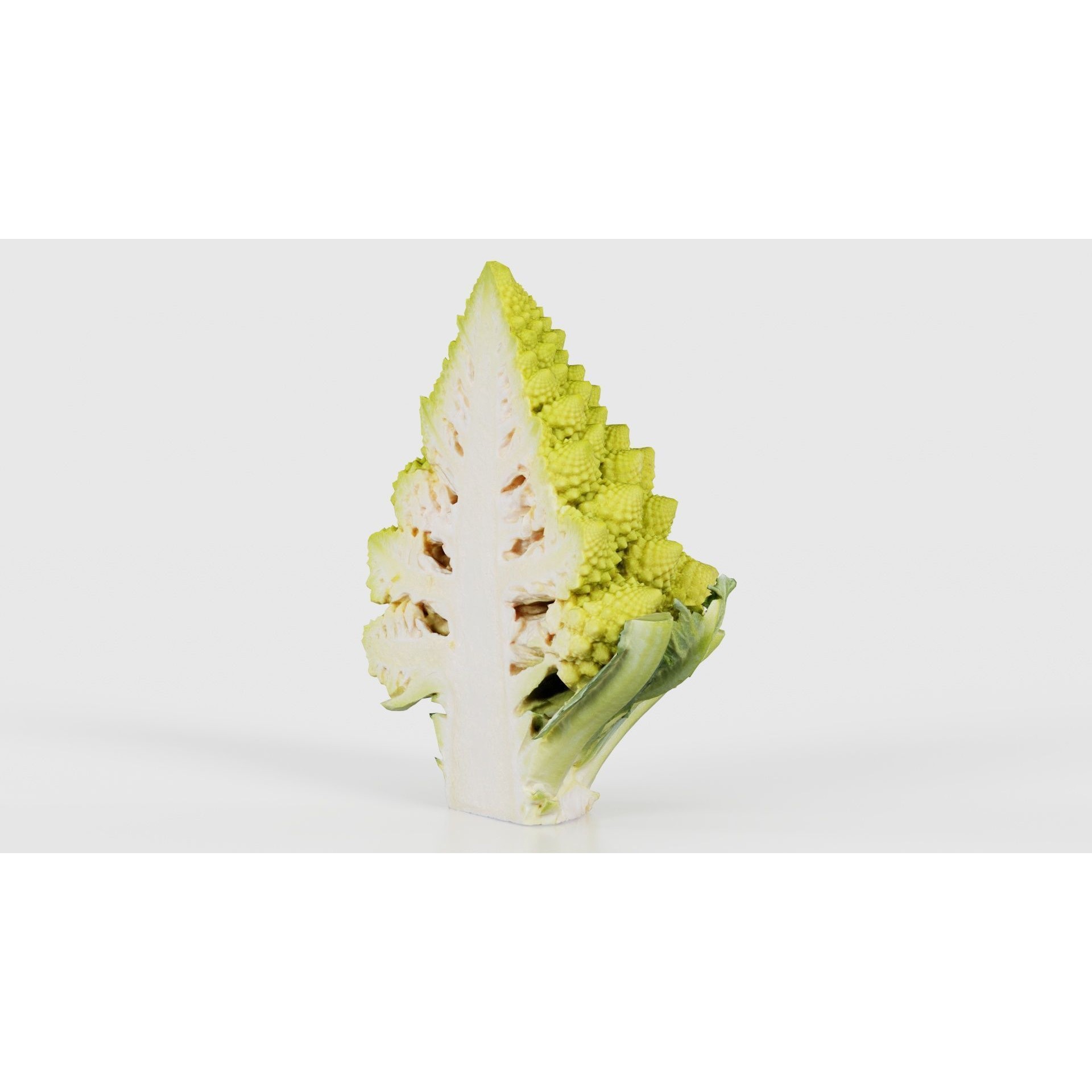 Romanesco Half - Low-Poly Game-Ready 3D Model - View 17