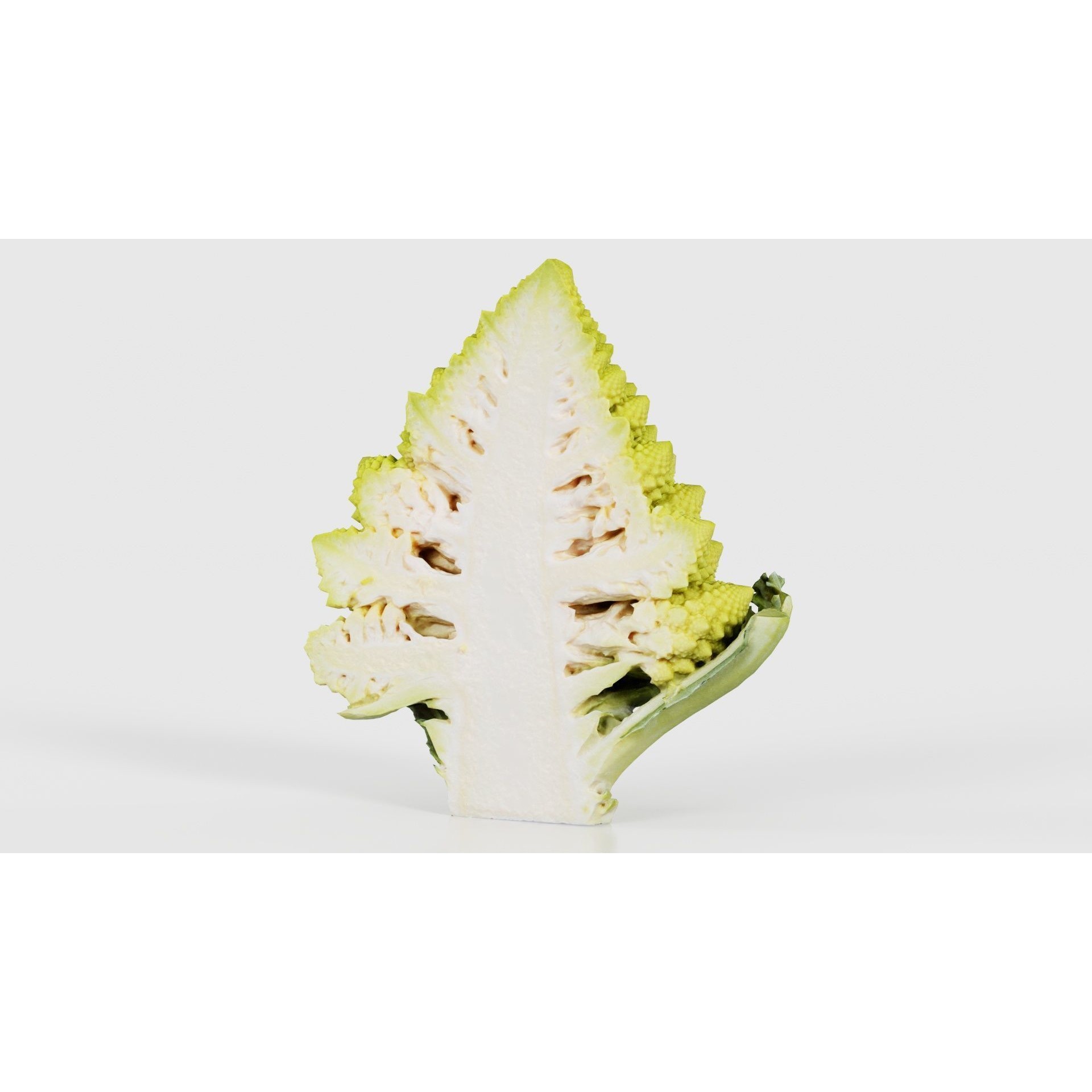 Romanesco Half - Low-Poly Game-Ready 3D Model - View 18