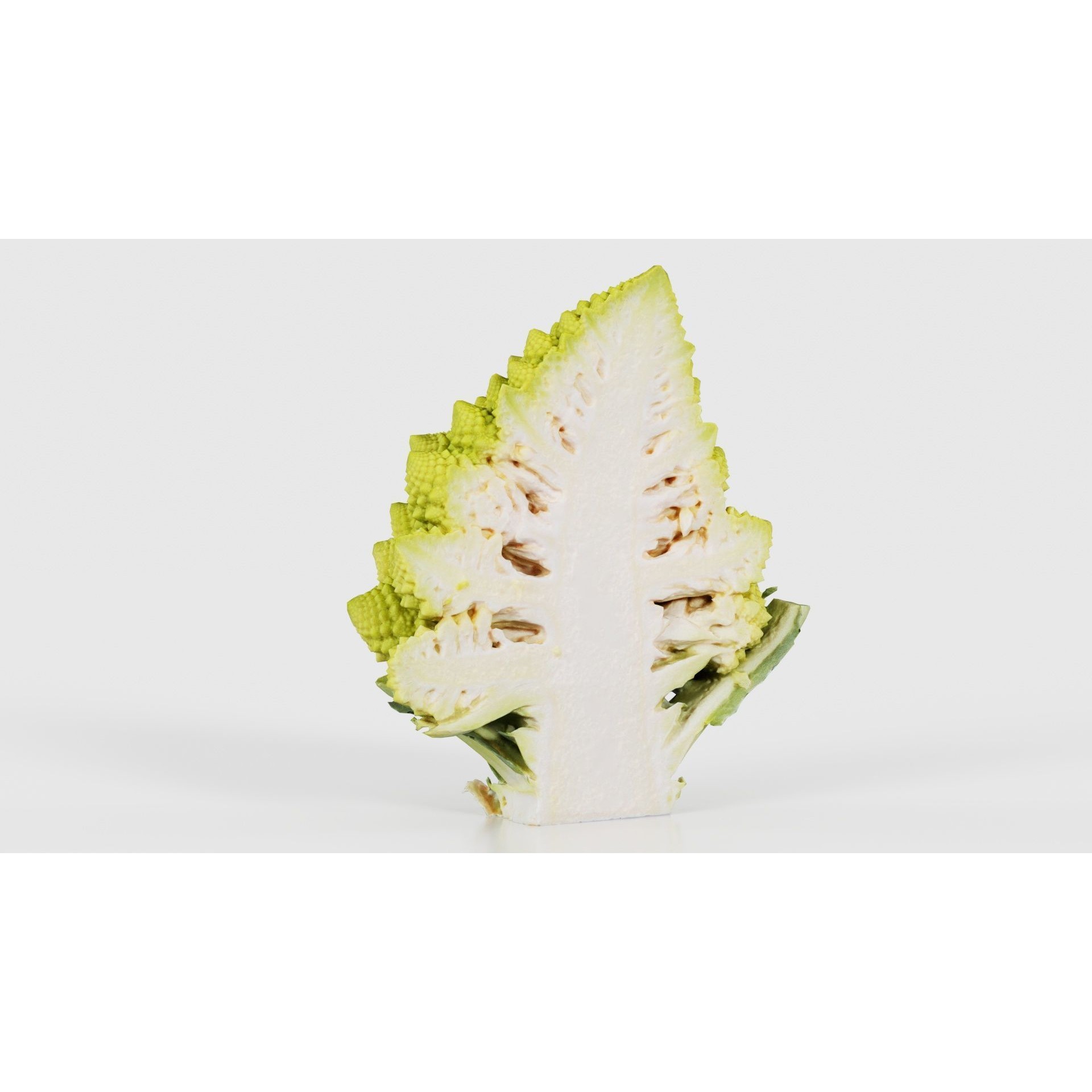 Romanesco Half - Low-Poly Game-Ready 3D Model - View 20