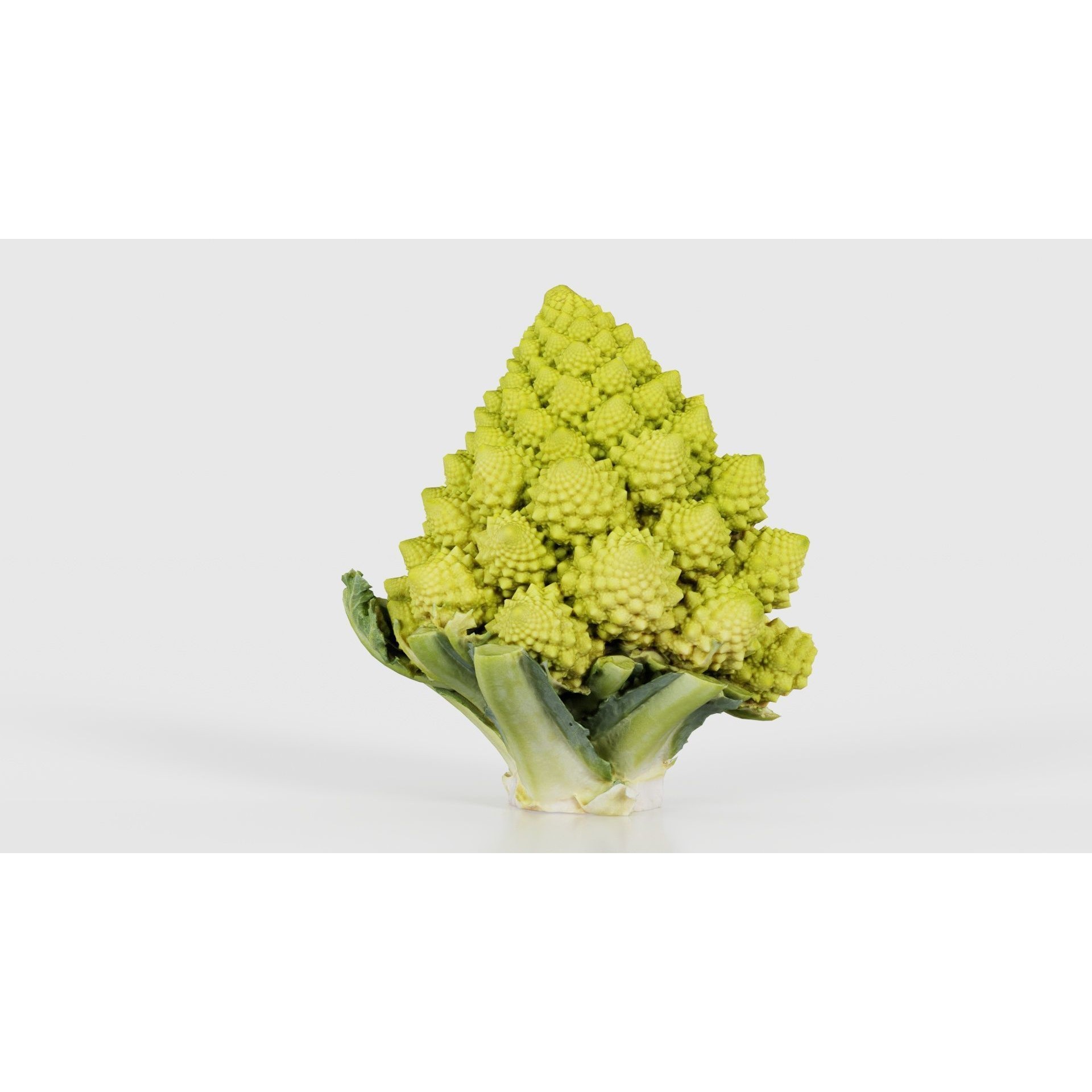 Romanesco Half - Low-Poly Game-Ready 3D Model - View 24