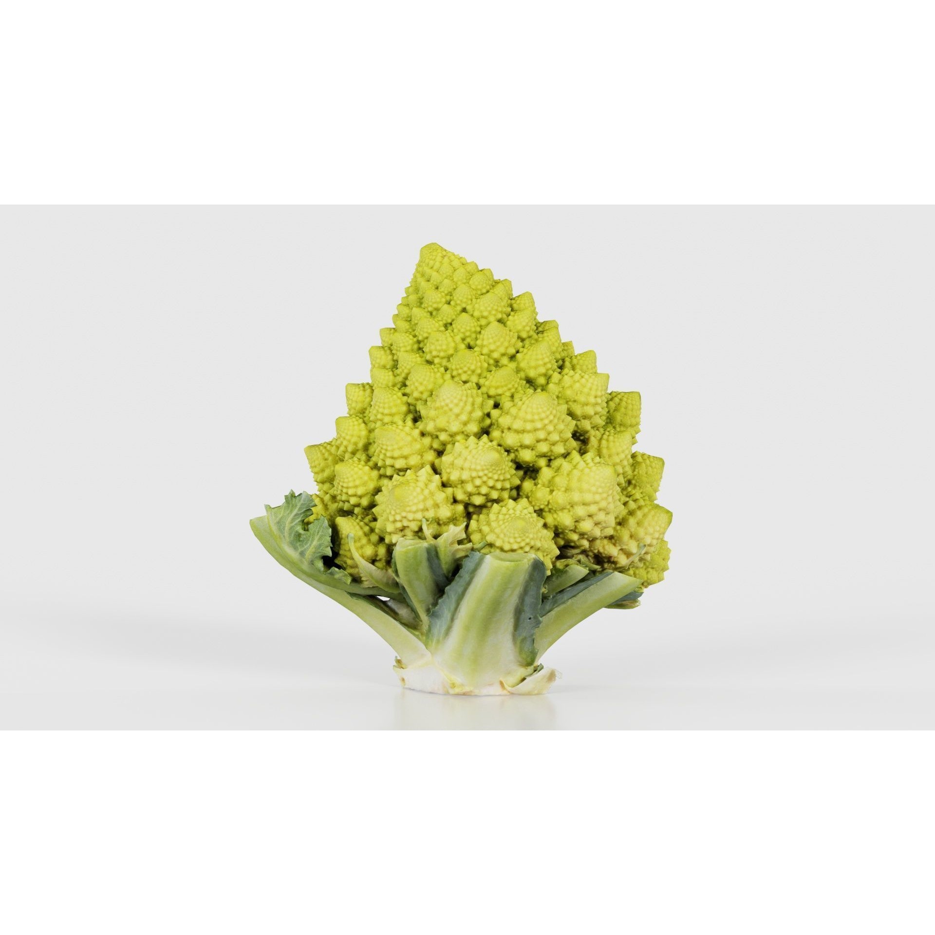 Romanesco Half - Low-Poly Game-Ready 3D Model - View 25