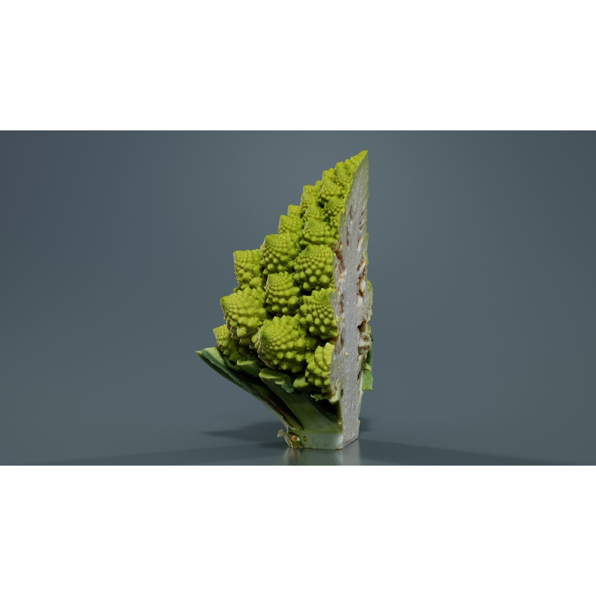 Romanesco Half - Low-Poly Game-Ready 3D Model - View 3