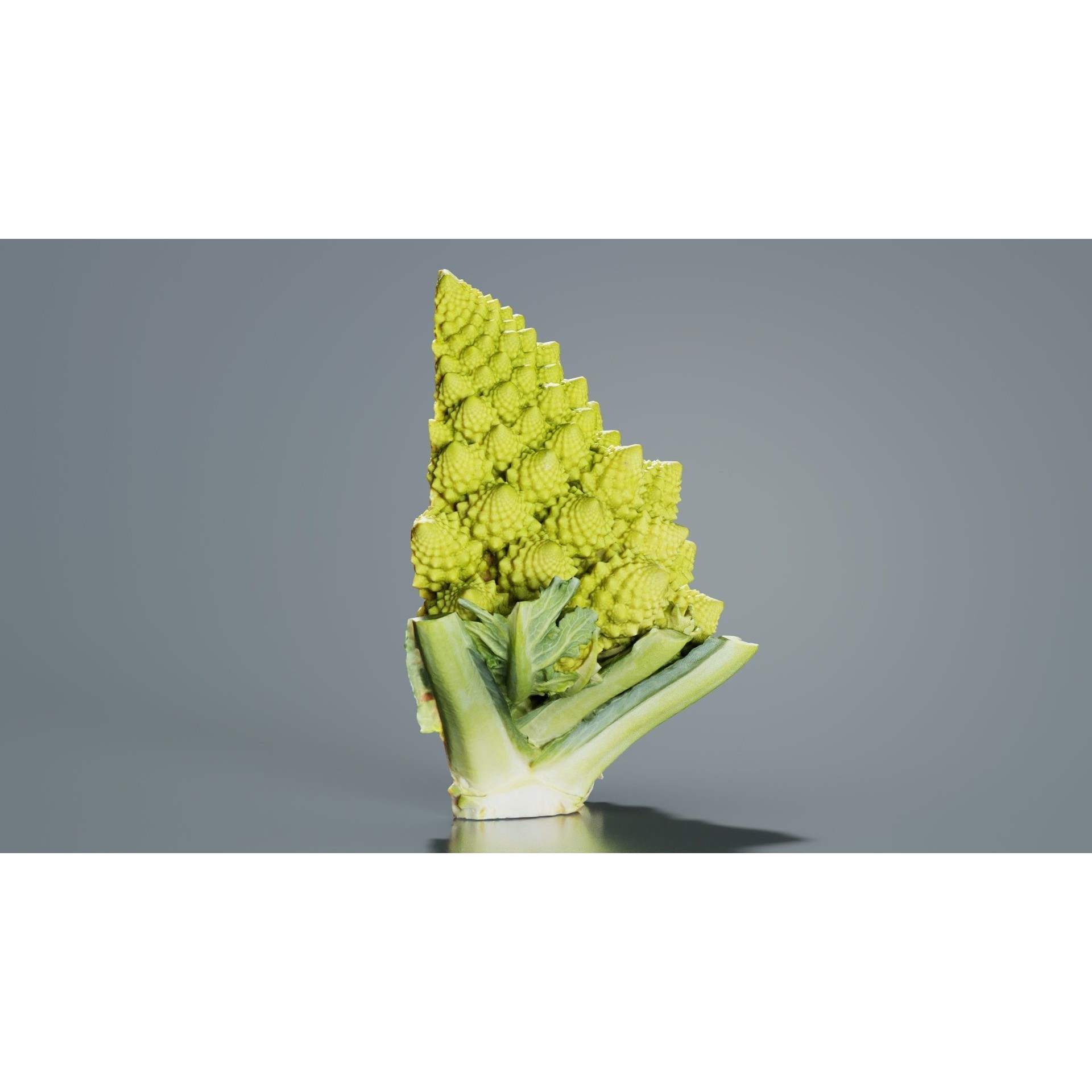 Romanesco Half - Low-Poly Game-Ready 3D Model - View 4