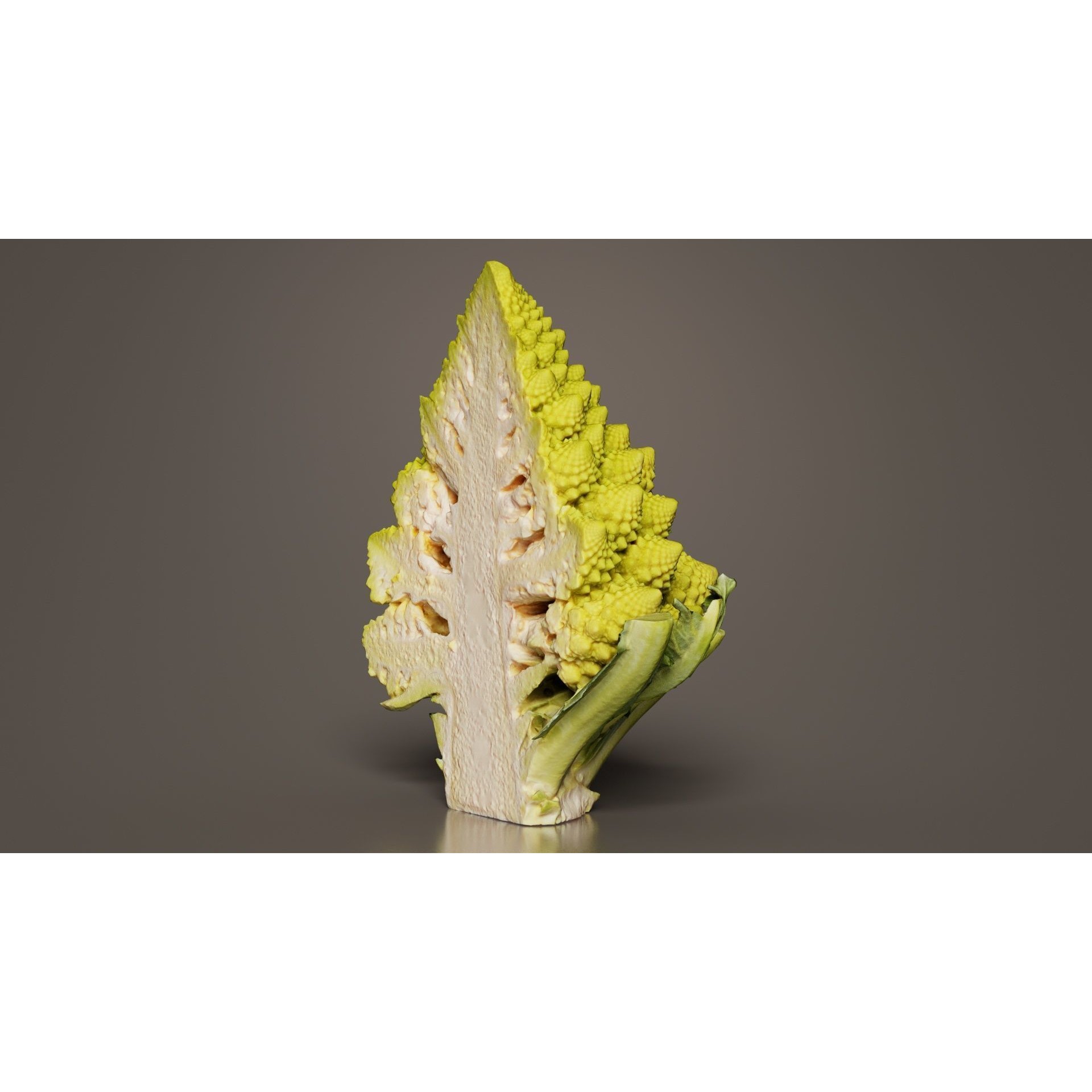 Romanesco Half - Low-Poly Game-Ready 3D Model - View 5