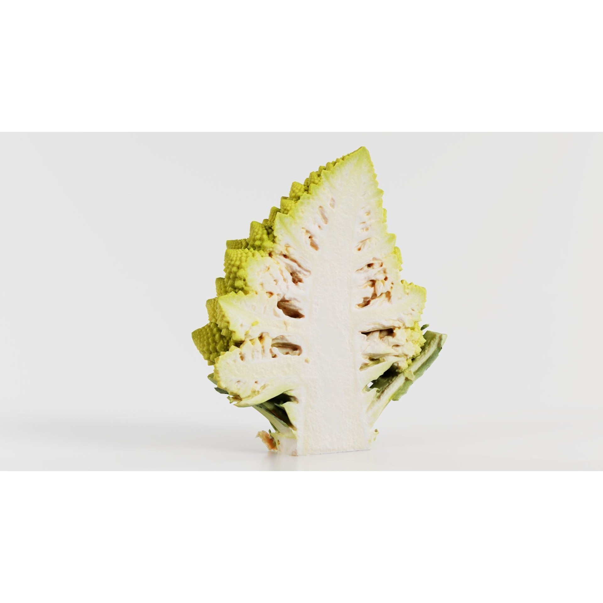 Romanesco Half - Low-Poly Game-Ready 3D Model - View 6