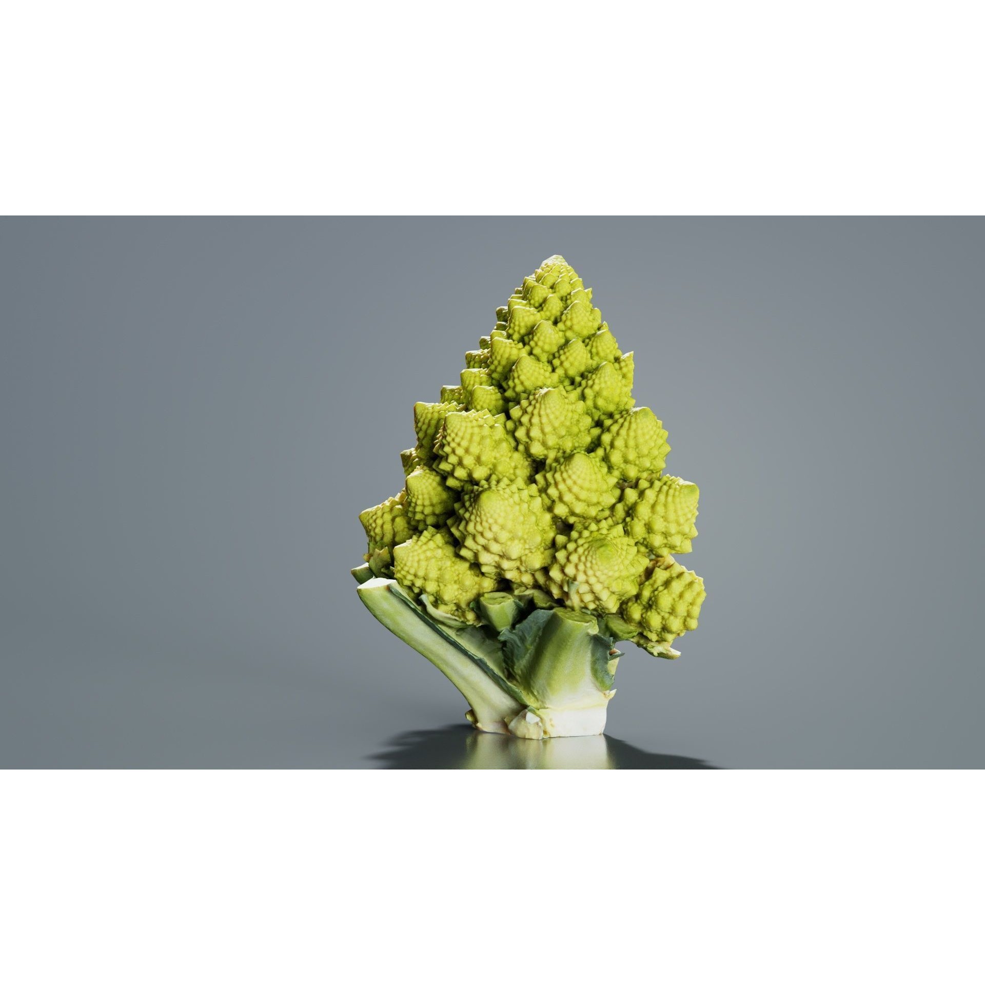 Romanesco Half - Low-Poly Game-Ready 3D Model - View 7